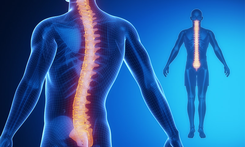 physiotherapy & chiropractic
